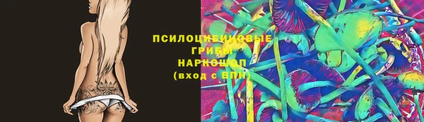 гидра Баксан