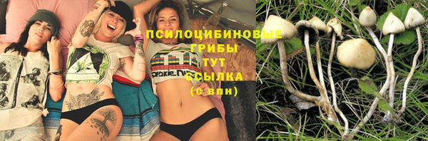 MESCALINE Осташков