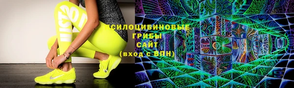 гидра Баксан
