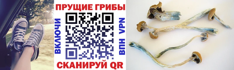 Галлюциногенные грибы мицелий  даркнет сайт  МЕГА маркетплейс  Петровск 