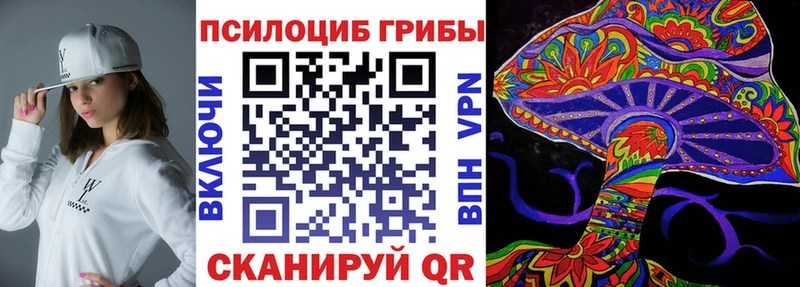 Галлюциногенные грибы Psilocybe Петровск